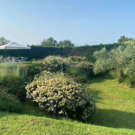 Podere Sassolegno - Luxury With Private Pool And Garden In Umbria Ficulle